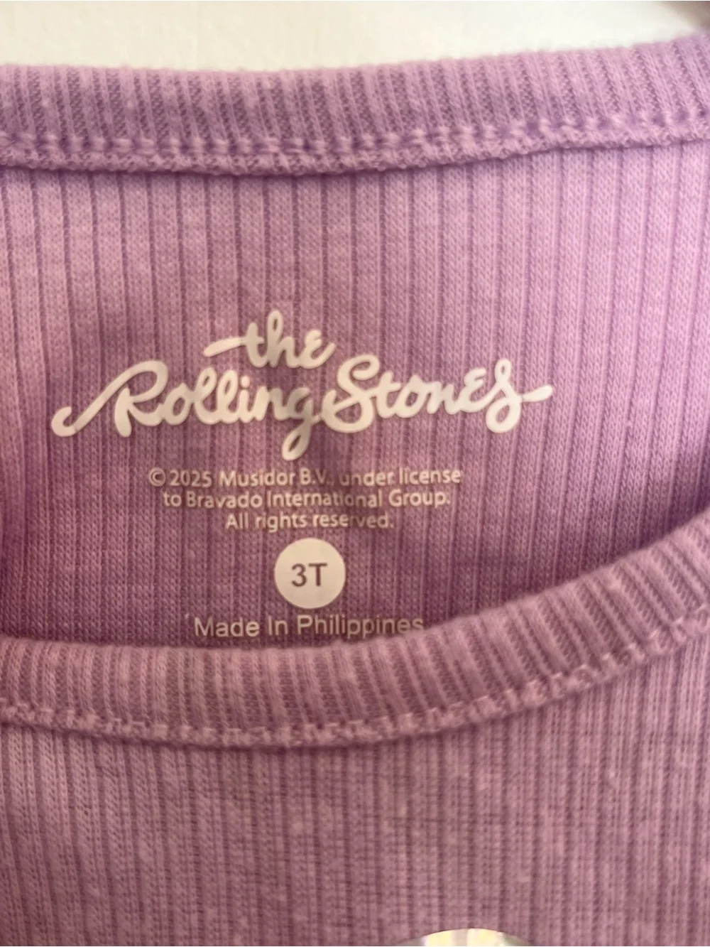 Rolling Stones Purple Layered Tulle Skirt Dress Purple Size 3T
